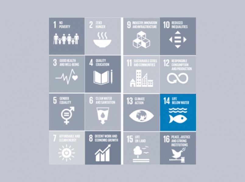 Global UN SDG Alignment 